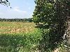Vacant Agricultural Lot for Sale in Sta. Rita, Pampanga